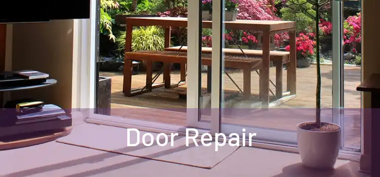 Door Repair