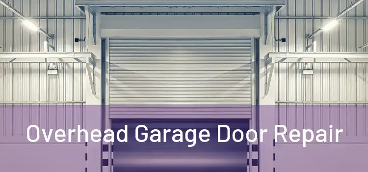 Overhead Garage Door Repair